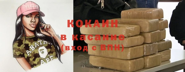 бошки Белокуриха