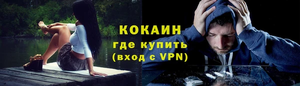 бошки Белокуриха