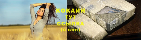 PSILOCYBIN Богородск