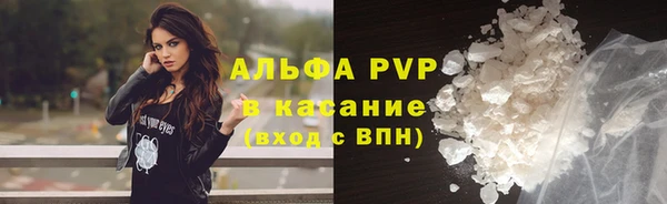 бошки Белокуриха