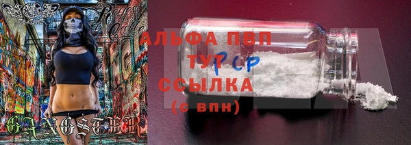 бошки Белокуриха