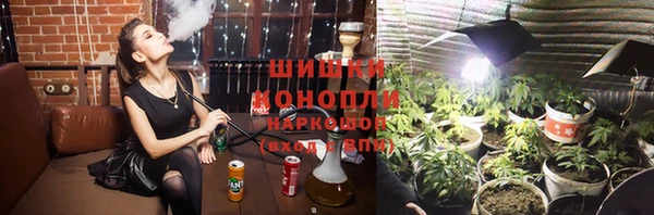 бошки Белокуриха
