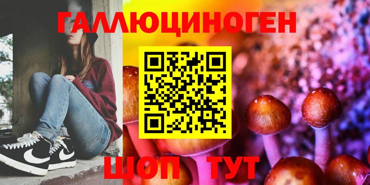 Галлюциногенные грибы ЛСД Сланцы