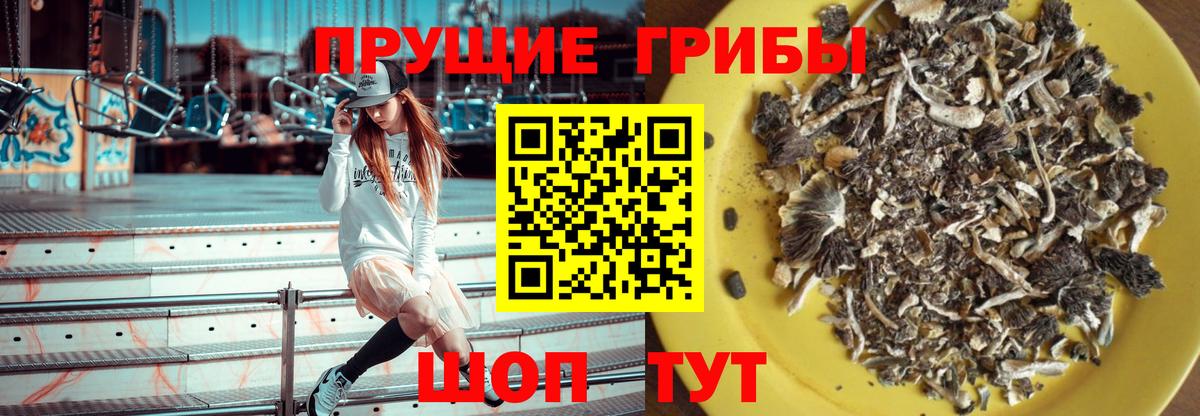 цены наркотик  Псилоцибиновые грибы GOLDEN TEACHER  Вход с VPN  Сланцы 