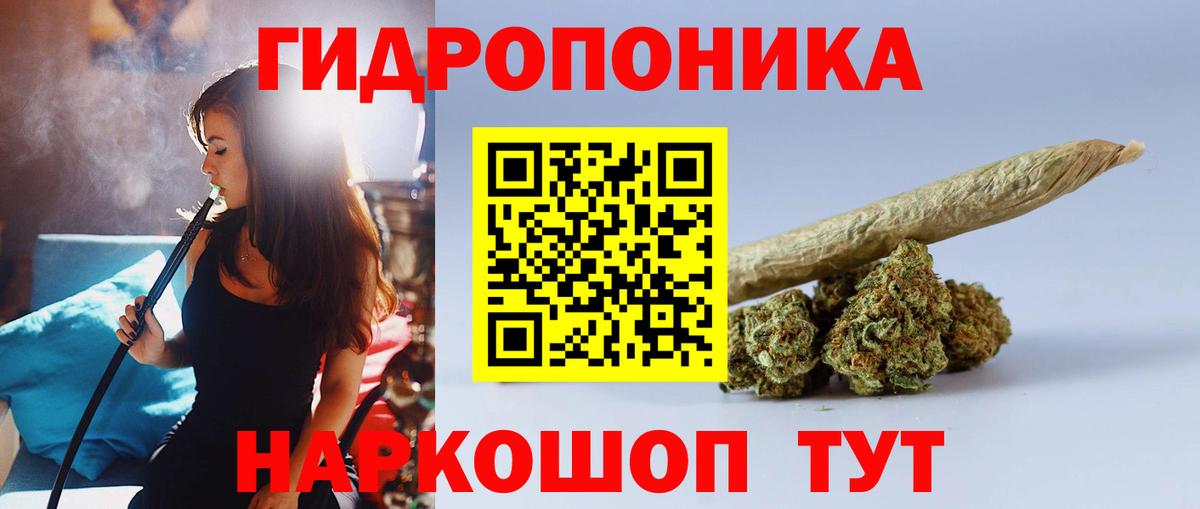 Сланцы  Бошки марихуана индика  Канабис планчик  Шишки марихуана сатива  Вход с VPN 